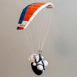 Afficher les détails pour Mini Paraglider Image de Mini Paraglider